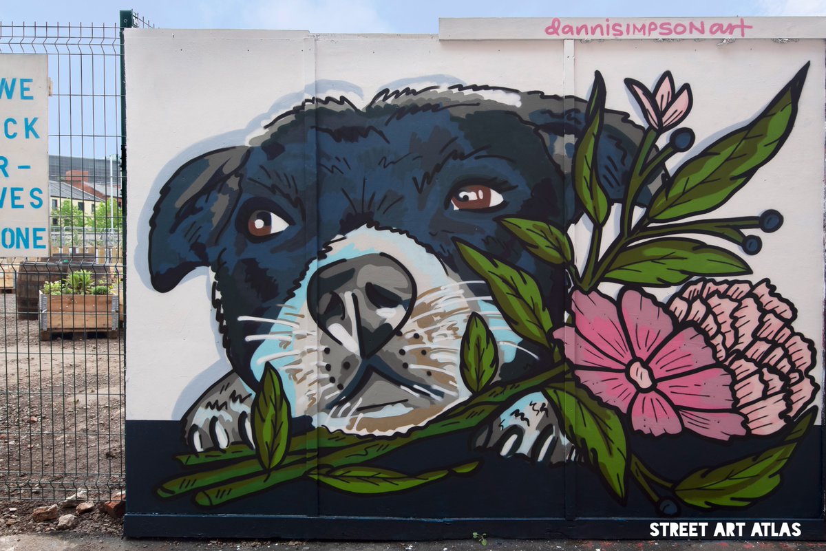 StreetArtAtlas's tweet photo. HIT THE NORTH 24
@dannisimpsonart
@SeedheadArts
📍Kent Street, Belfast, Northern Ireland
#Dannisimpsonart #HTN24 #hitthenorth #belfaststreetart #streetart #seedheadarts #visitbelfast #streetartatlas https://t.co/0lwIhjBQiS