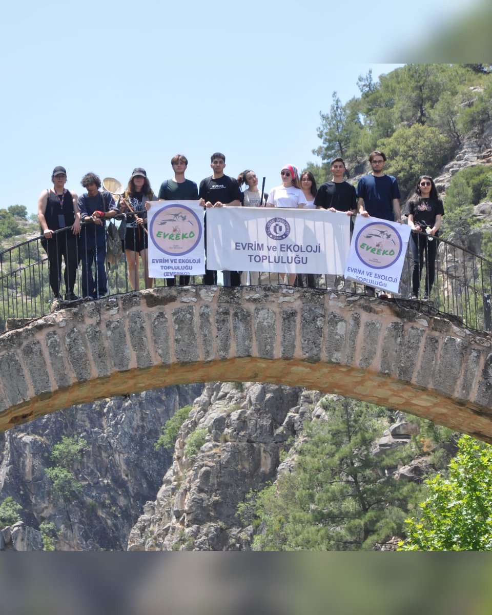 Evreko_'s tweet photo. Anadolu coğrafyası! Milyonlarca yıldır biyolojik çeşitliliğin hep en gösterişli olduğu yerlerden biri olmuştur. Onu tanımak, tanıtmak, yaşatmak ve korumak adına düzenlediğimiz biyolojik çeşitlilik arazi çalışmamızdan görseller sizlerle! 🦋🐍🐟🌾
#evreko #biology #science #nature https://t.co/kdMakUZ3U6
