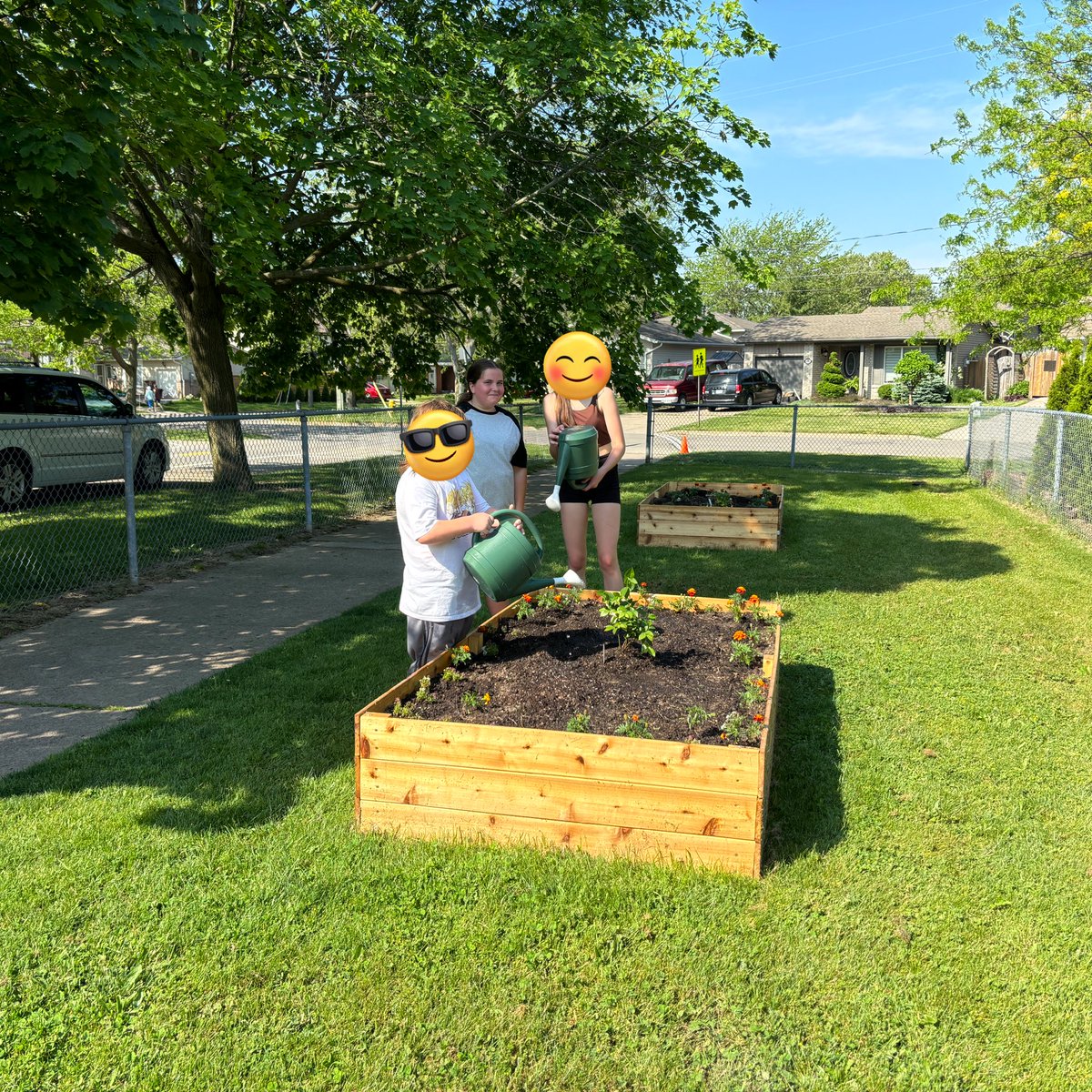 Paul Ferrara (@mrpaulferrara) on Twitter photo It’s amazing how a space can bring people together. From building the garden beds to planting & maintaining the garden - it’s a team effort across all divisions at <a href="/PineGrovePS/">Pine Grove P.S. 🌲</a> ! So thankful to work with amazing colleagues to provide opportunities like this for our Ss! #DSBN It’s amazing how a space can bring people together. From building the garden beds to planting & maintaining the garden - it’s a team effort across all divisions at <a href="/PineGrovePS/">Pine Grove P.S. 🌲</a> ! So thankful to work with amazing colleagues to provide opportunities like this for our Ss! #DSBN