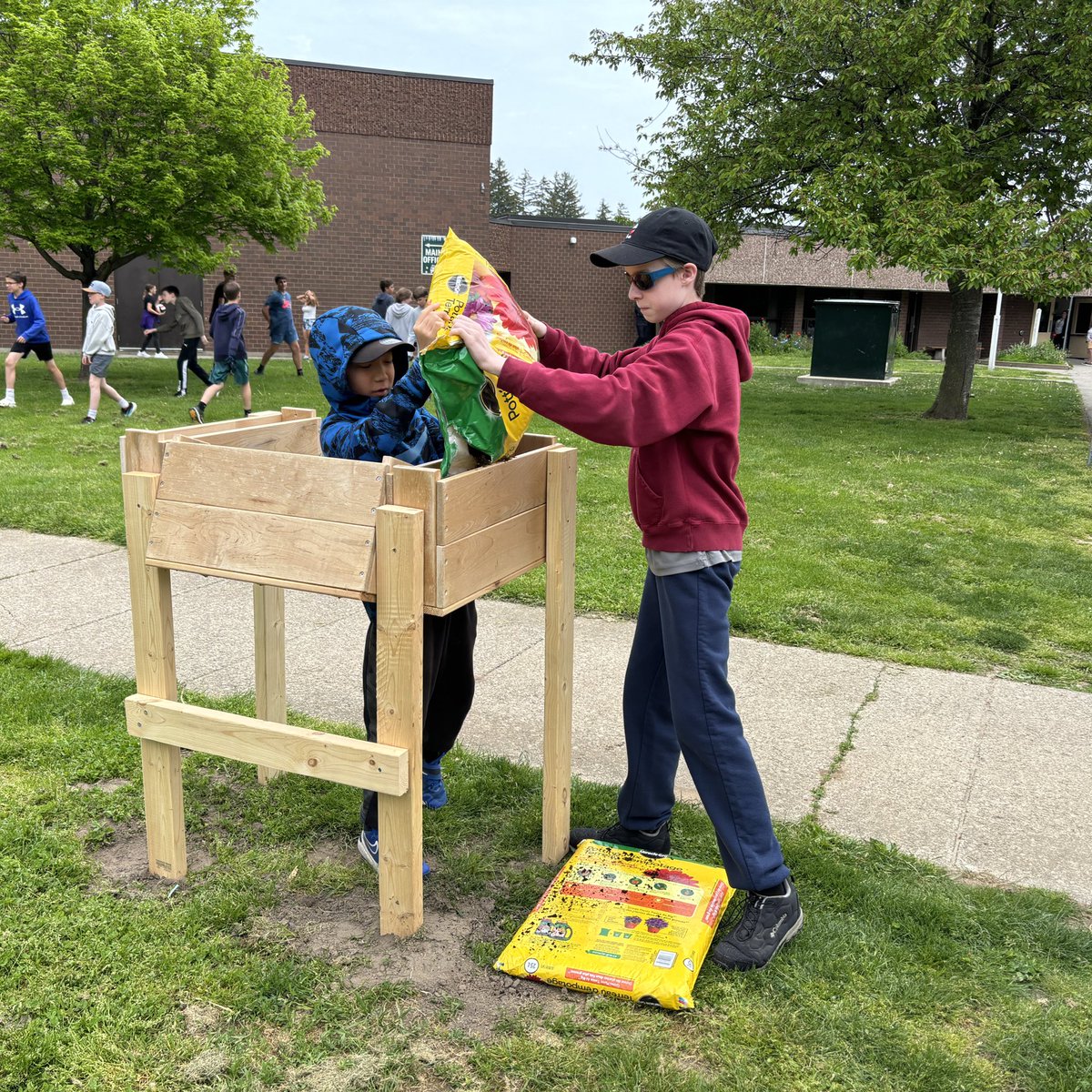 MrPaulFerrara's tweet photo. It’s amazing how a space can bring people together. From building the garden beds to planting &amp; maintaining the garden - it’s a team effort across all divisions at @PineGrovePS ! So thankful to work with amazing colleagues to provide opportunities like this for our Ss! #DSBN https://t.co/XwgYhIeec5