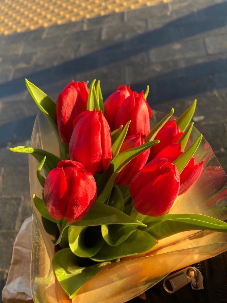 Exulansista's tweet photo. red tulips https://t.co/dtTOoXHLJe