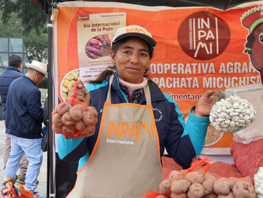 potatosystem1's tweet photo. Nurturing Diversity: AGROIDEAS Celebrates International Potato Day
This article highlights AGROIDEAS' participation in the "Harvesting Diversity, Feeding Hope" fair on International Potato Day, showcasing their initiatives aimed at supporting Peruvian f...
https://t.co/nAcnDAlreS https://t.co/eHVPHVXLbB