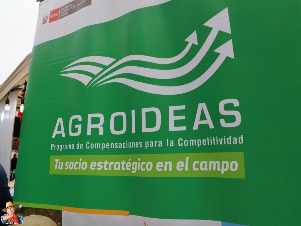 potatosystem1's tweet photo. Nurturing Diversity: AGROIDEAS Celebrates International Potato Day
This article highlights AGROIDEAS' participation in the "Harvesting Diversity, Feeding Hope" fair on International Potato Day, showcasing their initiatives aimed at supporting Peruvian f...
https://t.co/nAcnDAlreS https://t.co/eHVPHVXLbB
