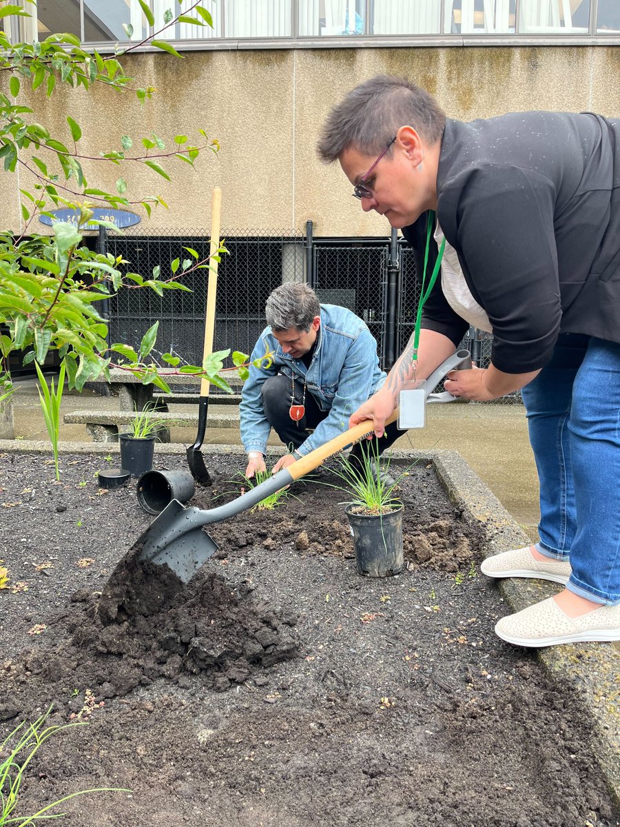 myVCC's tweet photo. Celebrating #IndigenousMonth, VCC planted Three Sisters—corn, beans, squash—in the Medicine Garden, deepening our connection to Squamish, Musqueam, Tsleil-Waututh lands. Thanks to VCC’s IECE team for organizing this event, providing coffee, bannock, and encouraging participation. https://t.co/VXrkX7hrqR