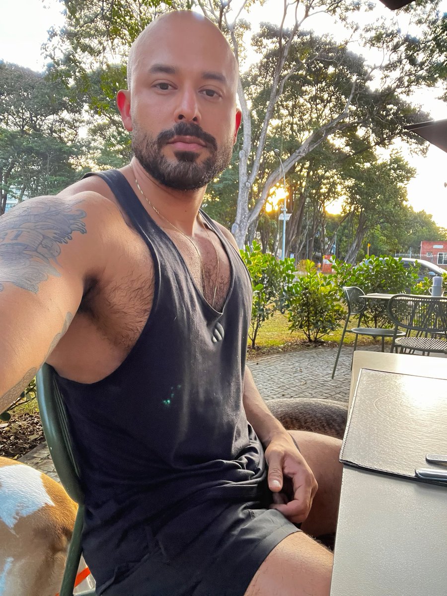 slowlowboy's tweet photo. Amo que tem uma cafeteria bem chique aqui em frente de casa. Tudo uma delícia e tem uma área externa envolta nas árvores que amo. O ponto é que a clientela vem fazer reunião e encontros e a indumentária sempre é terno e gravata, mulheres bem maquiadas e todos bem vestidos. CORTA PRA MIM COM OS CACHORROS VESTIDO ASSIM: