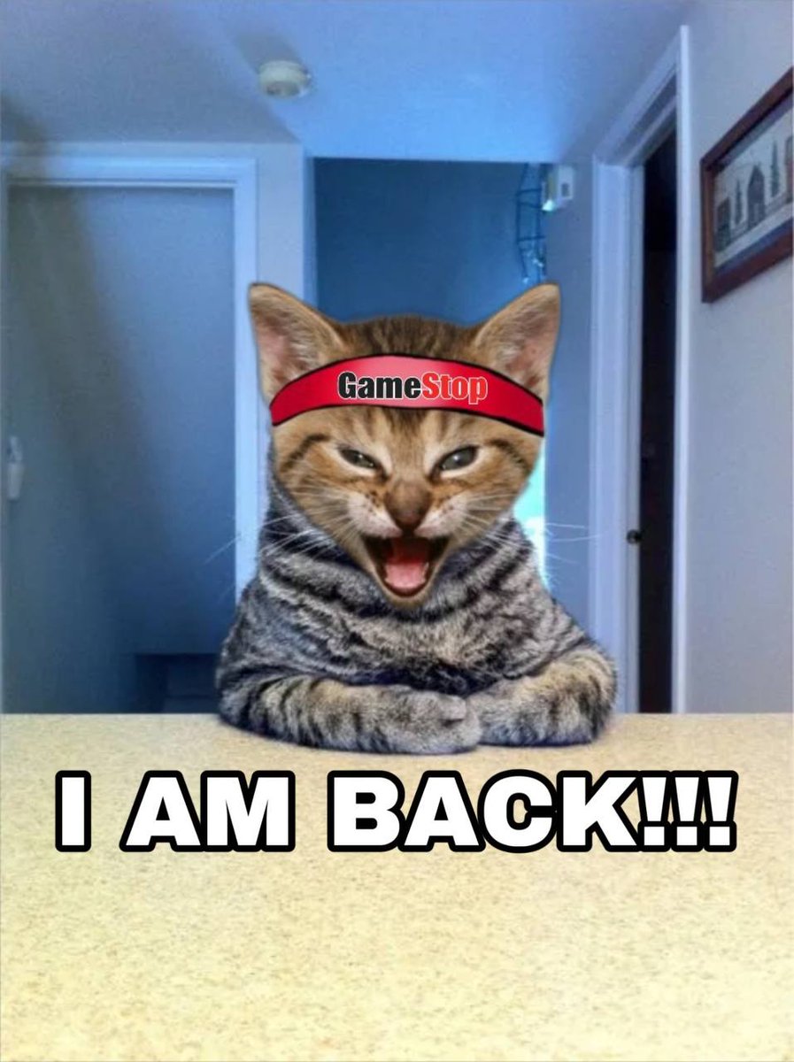 $GME revenue share is live x.com/CoinGMEonETH/s…