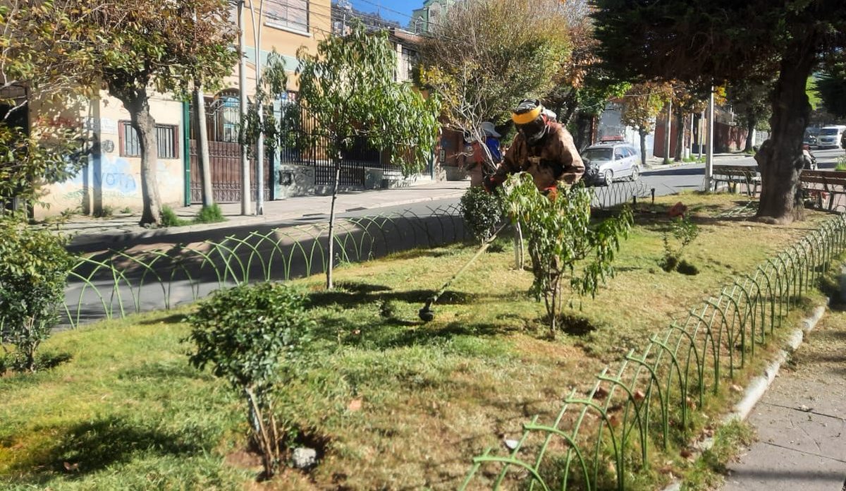 Subalcaldía Centro GAMLP tweet media