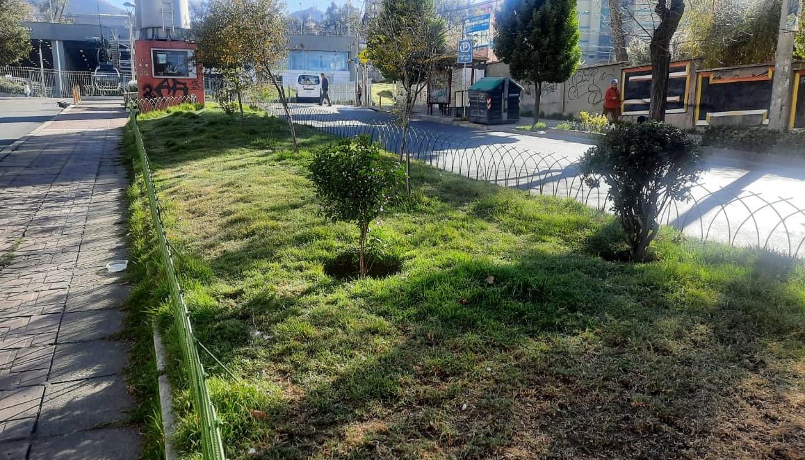 Subalcaldía Centro GAMLP tweet media