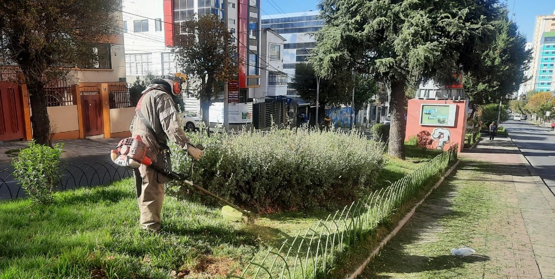 Subalcaldía Centro GAMLP tweet media