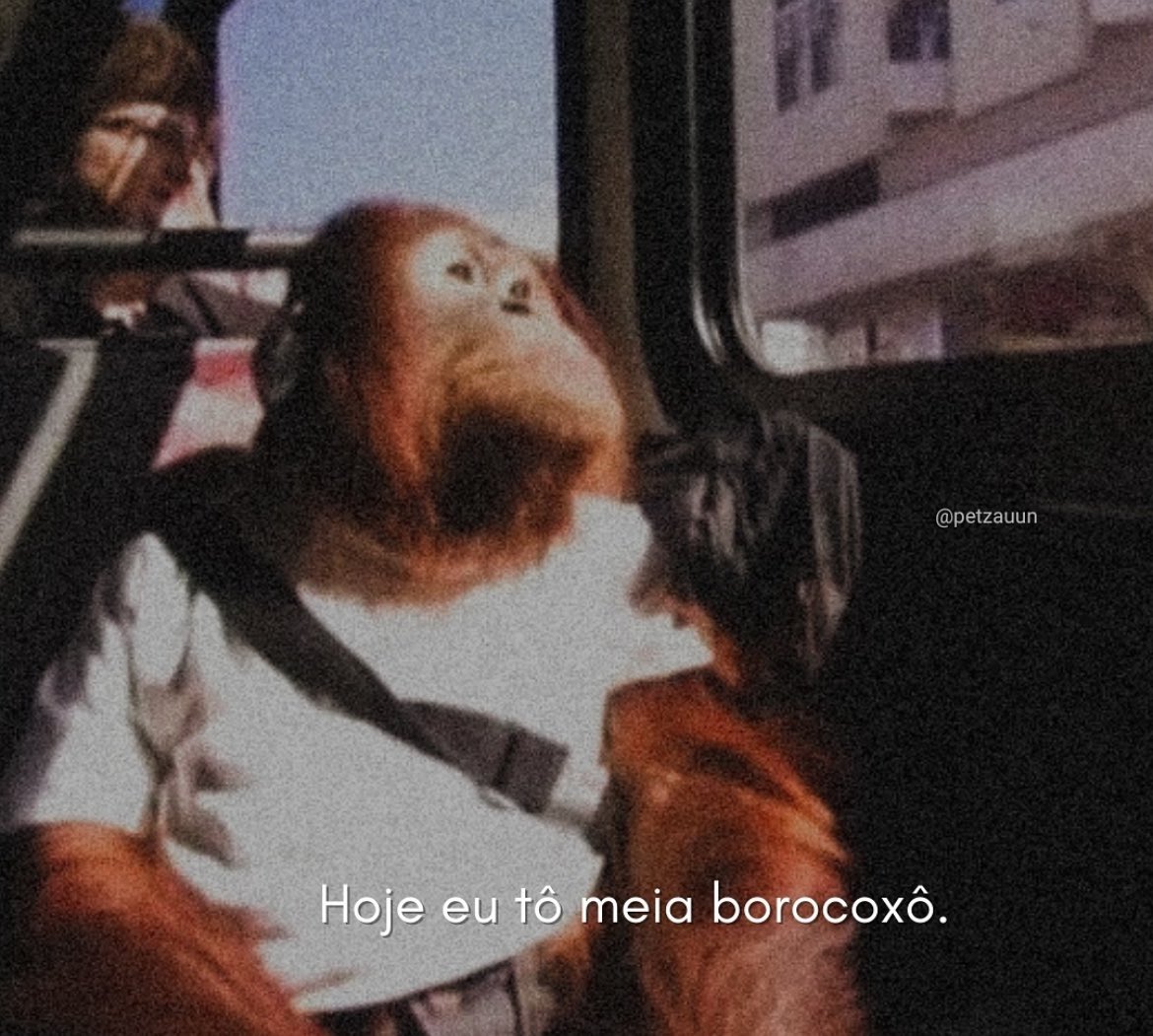 fases