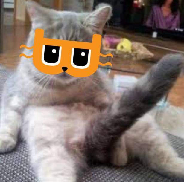 levidesuda's tweet photo. @ConnorOnChain There's only one CAT, $BILLY CAT

@billydollarcat https://t.co/zIHXmMwGQ1
