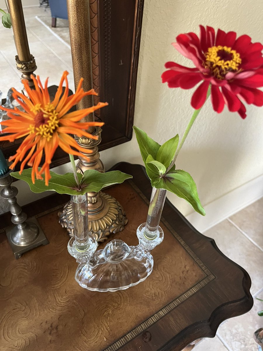 SteveCPAnMB's tweet photo. Zinnias from my Fiesta Collection from @ParkSeed  in my bud vases from candlestick holders from #basevase https://t.co/UYZEFxVx0e