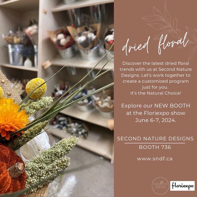 SecondNatureDLP's tweet photo. Discover the beauty of dried florals with Second Nature Designs at Floriexpo 2024! 
Visit our new booth, #736, on June 6-7, and let's create something naturally stunning together. 

#Floriexpo2024 #DriedFlorals #SecondNatureDesigns https://t.co/lZS1xCqZzR