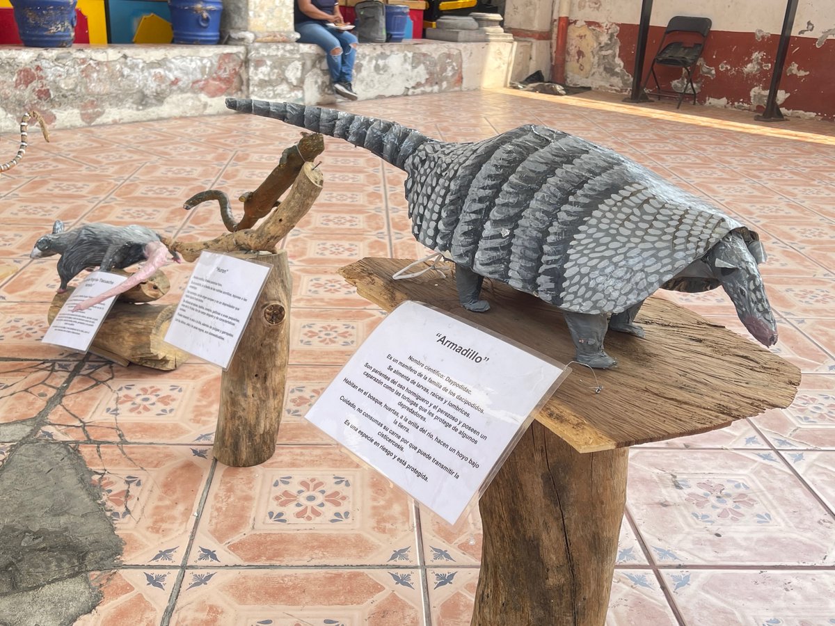 coesbio's tweet photo. Visitamos la exposición de cartonería de “Fauna Morelense” en el ayuntamiento de Tetecala.

#CoesbioMorelos #Tetecala #FaunaMorelense #ProtecciónAmbiental

https://t.co/SGlubb6WQ1 https://t.co/Rbdbo0jl9J