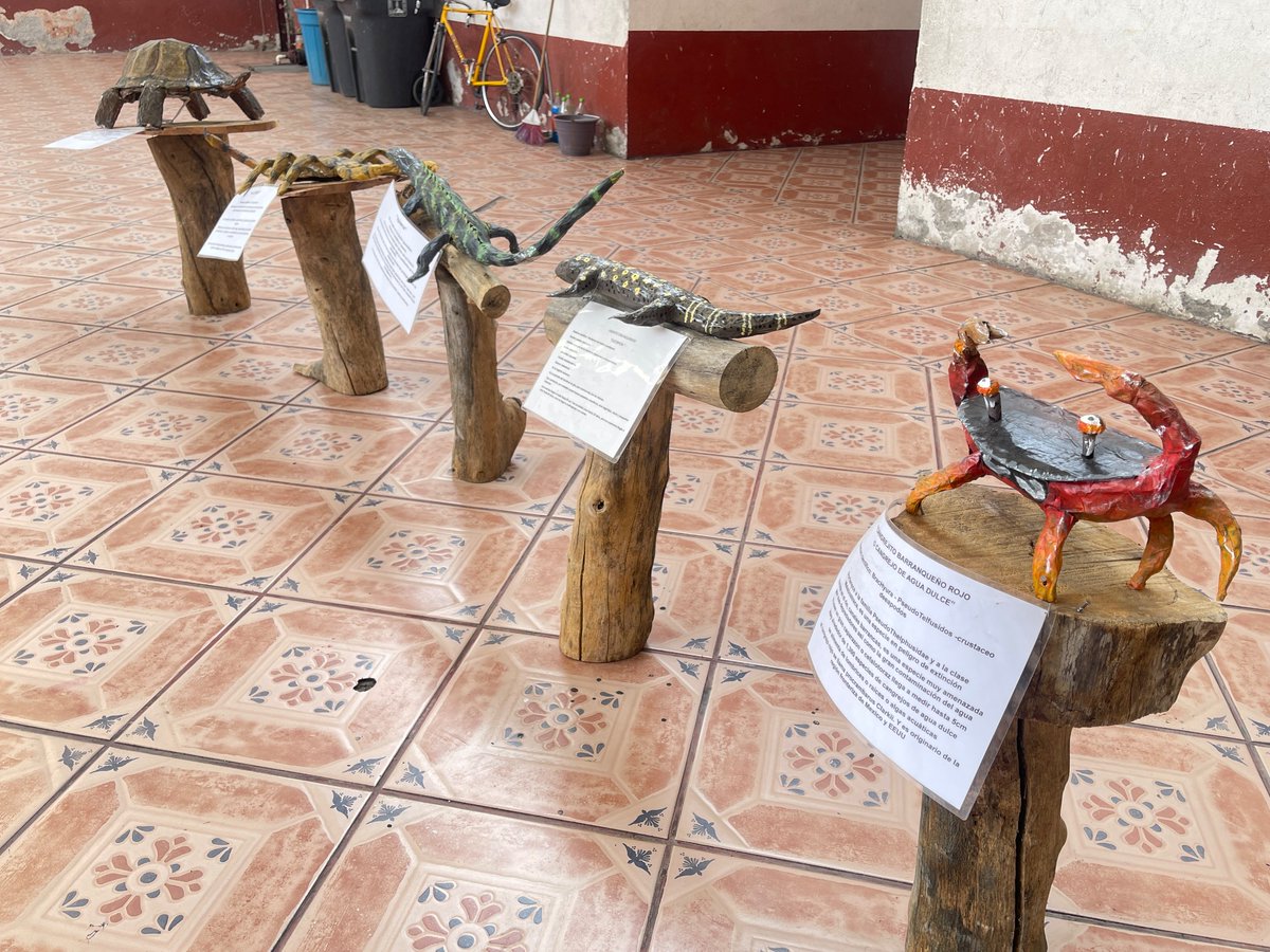 coesbio's tweet photo. Visitamos la exposición de cartonería de “Fauna Morelense” en el ayuntamiento de Tetecala.

#CoesbioMorelos #Tetecala #FaunaMorelense #ProtecciónAmbiental

https://t.co/SGlubb6WQ1 https://t.co/Rbdbo0jl9J