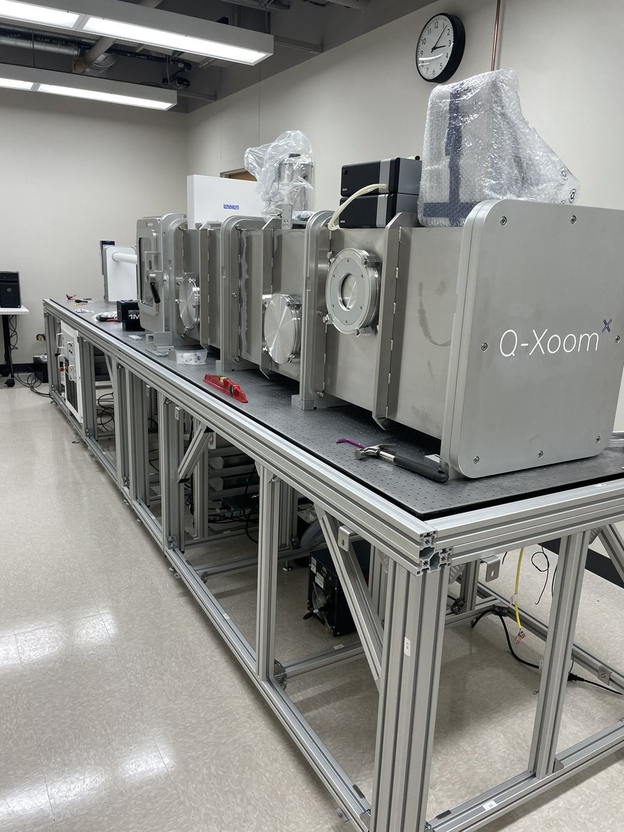 whitney loo tweet media