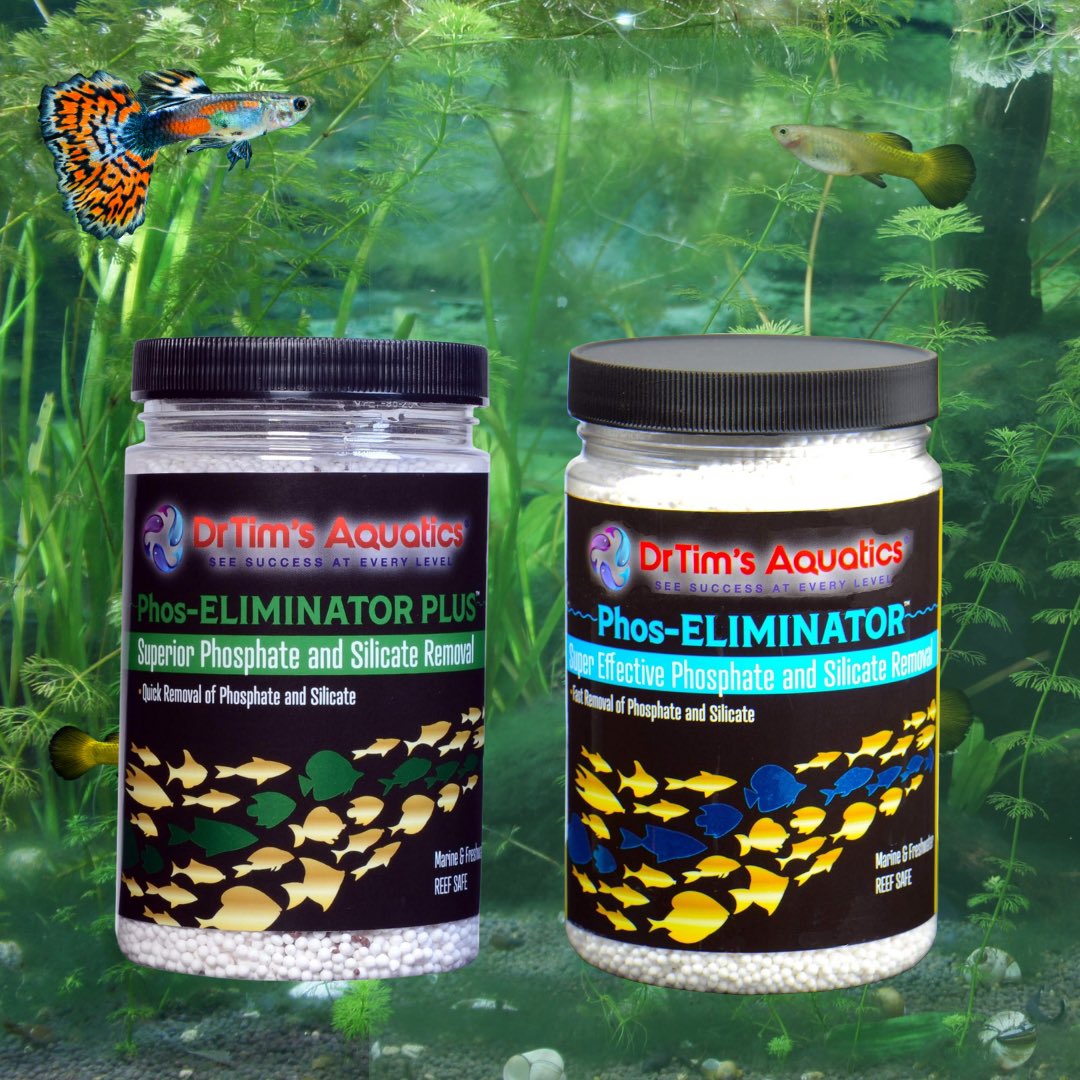 drtimsaquatics's tweet photo. If you have high phosphates consider using one of our phosphate, eliminating medias. You can purchase them on our website. https://t.co/MFtPpcPsg7