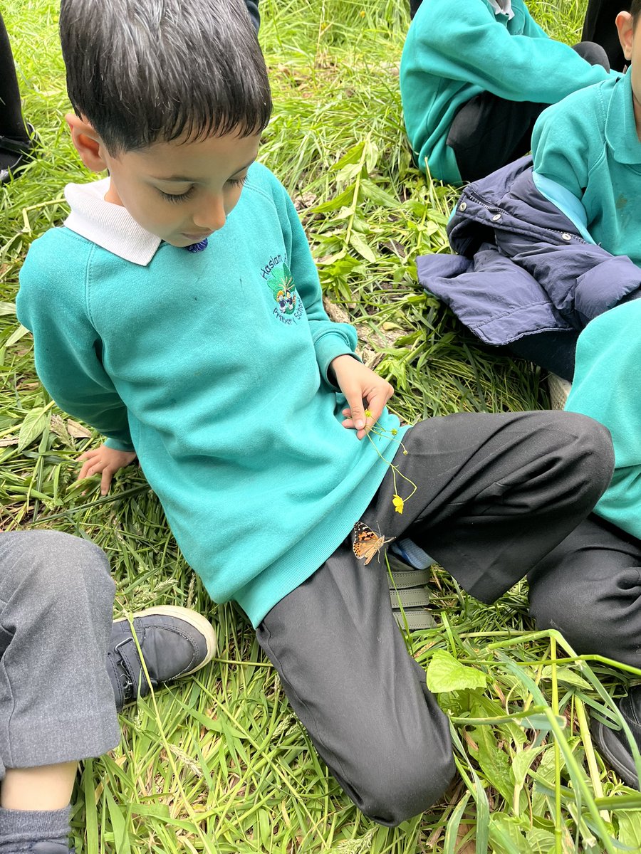 Haslam Park Primary School tweet media