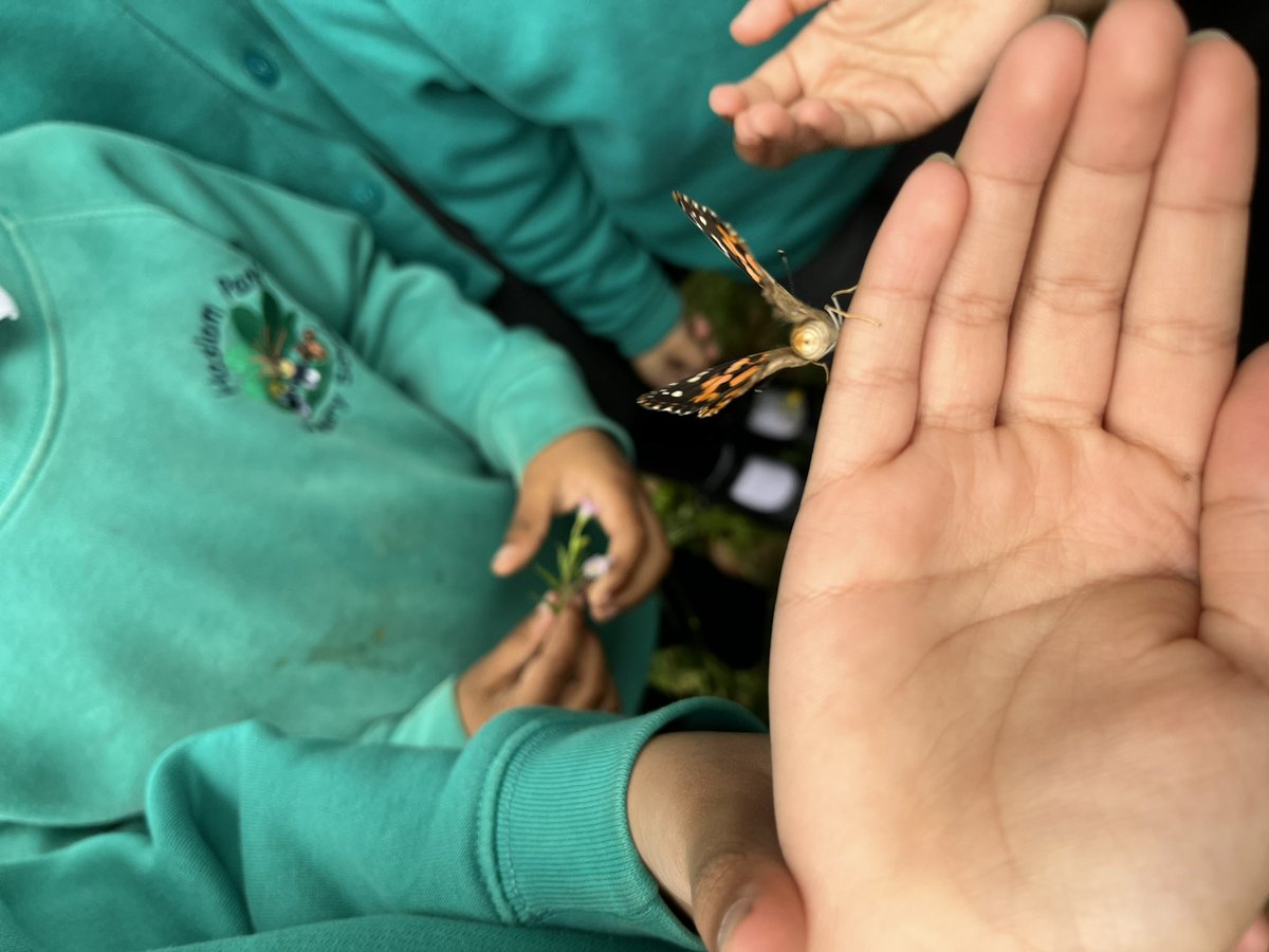 Haslam Park Primary School tweet media