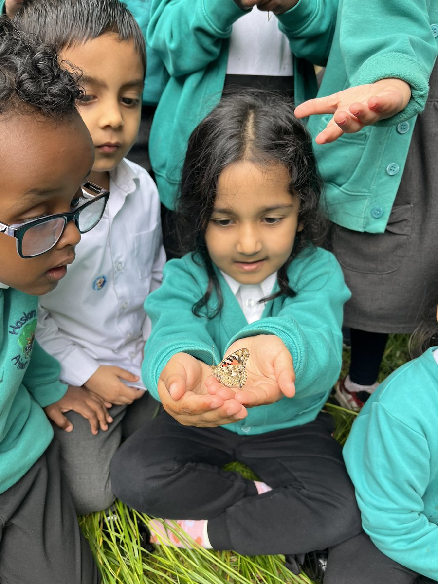 Haslam Park Primary School tweet media