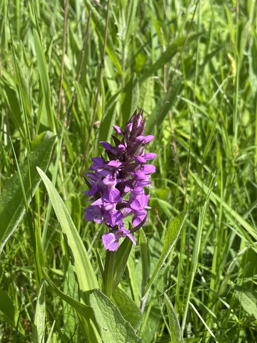 Peter Corry tweet media