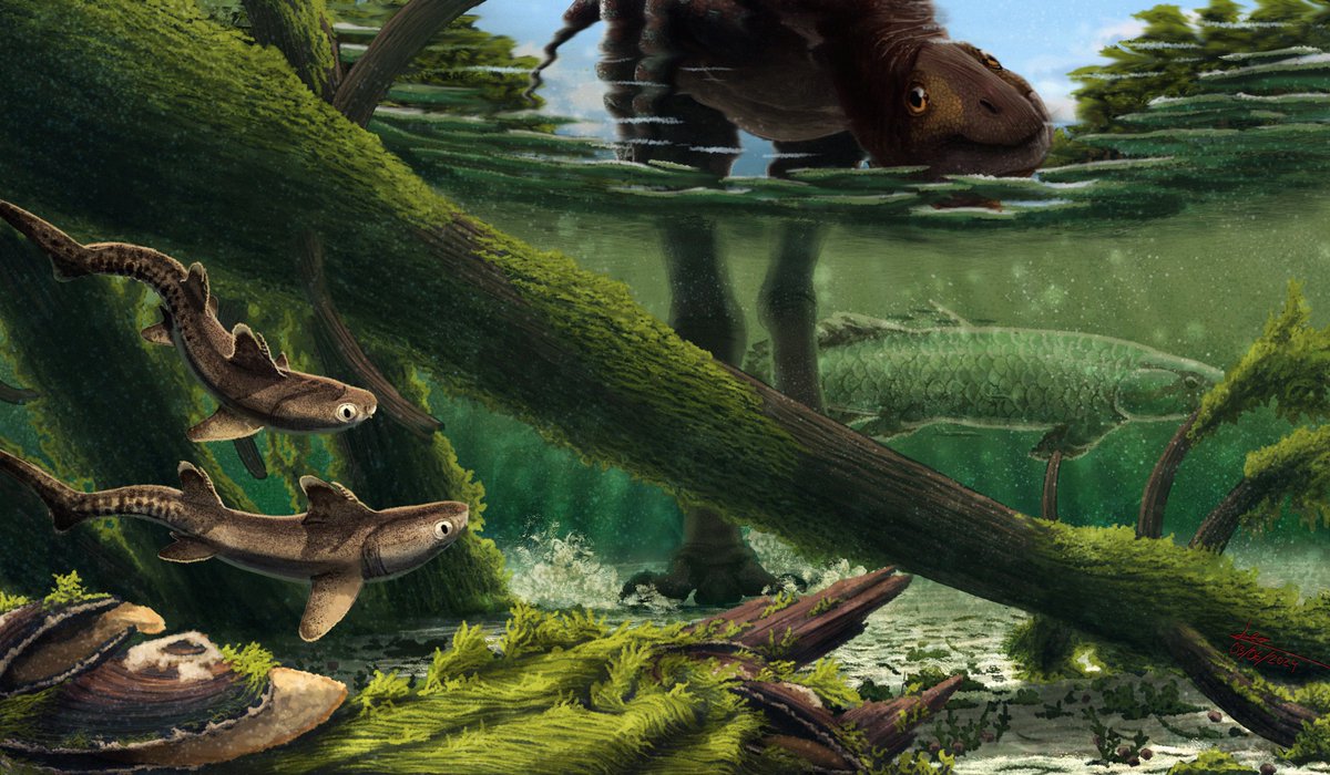 Leotrex444's tweet photo. Una guardería peligrosa | "A dangerous daycare "
#spinostropheus gauteri
#hybodus
#Asiatoceratodus
#niger #forest #dinosaur #jurassic #rain #painting #bathonian #theropod #ceratosauria #digitalart #jurásico #Tiourarenformation #paleoart #mesozoic #gondwana #dinosaurs #dino https://t.co/KfICnctF9r
