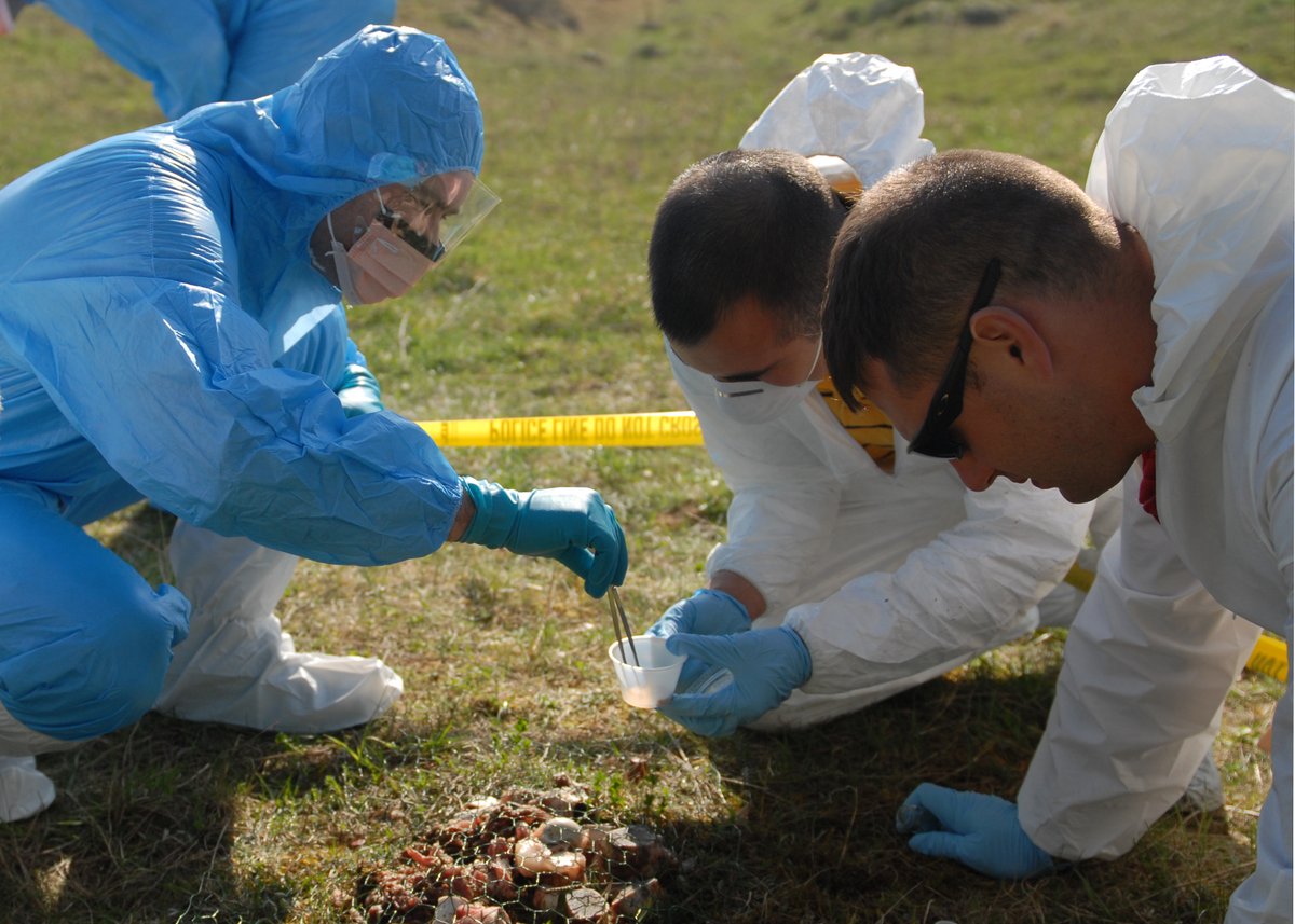eSTSjournal's tweet photo. If the judicial power of #BiologicalSamples depends on their #authenticity, how are their #seals considered in preserving a samples' evidentiary future?
Rabeharisoa & Paterson on the French #CriminalJustice: https://t.co/q8z44XRpiq
#DNAdatabases #forensic #FNAEG #maintenance https://t.co/wXbKTpUml6