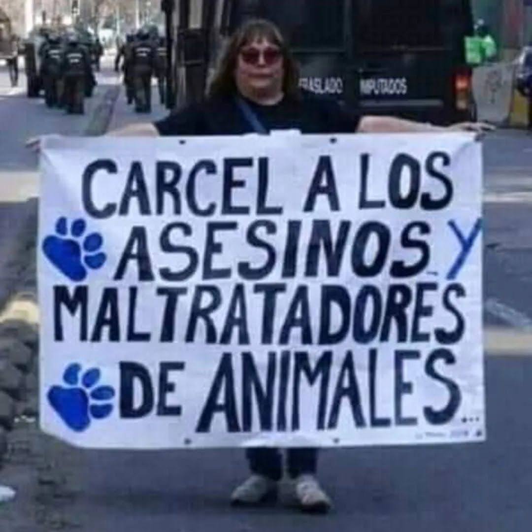 <a href="/PartidoPACMA/">PACMA</a>