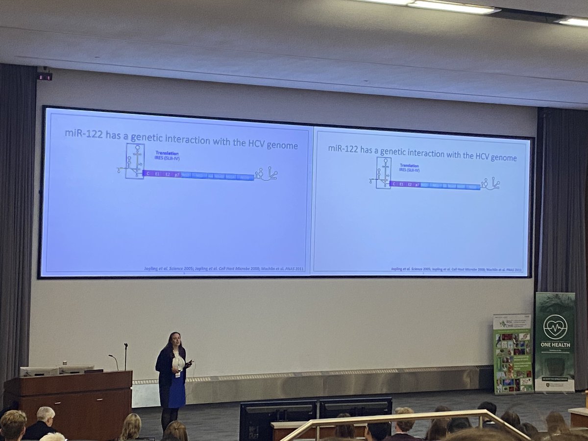 Current CSV VP (&amp; President-to-be) Selena Sagan (<a href="/SaganLab/">Sagan Lab</a>) is our invited speaker to kick off this afternoon’s session on virus-host interactions at #CSV2024!