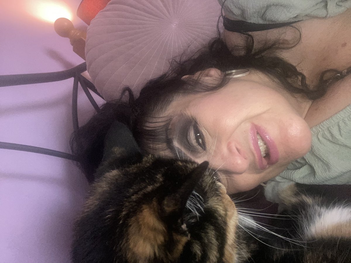 KarenAutism's tweet photo. @PaulaMc007 Here are just a few when I got home!😹😹😻😻 https://t.co/duJ1oSXUH7