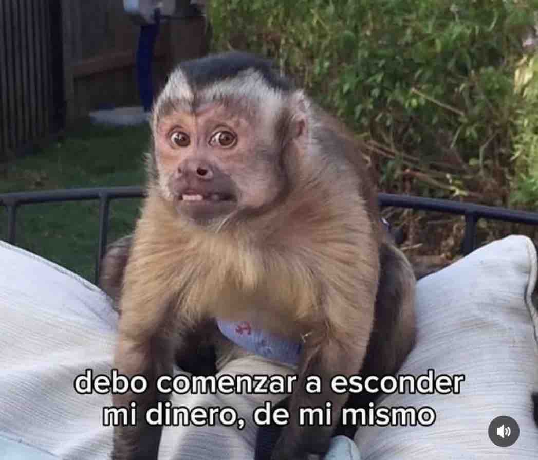 Ya profavo!