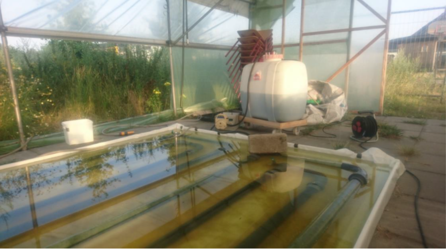 eSTSjournal's tweet photo. Learning how to #care for #wastewater takes #embodied sensory engagements across #species barriers

Read by @mandydewilde &amp; Fenna Smits on #microalgae + the #maintenance of a wastewater treatment prototype in an #ecovillage: https://t.co/UkPC5tDoR3

#MultispeciesEthnography https://t.co/C7qSdBOgeh