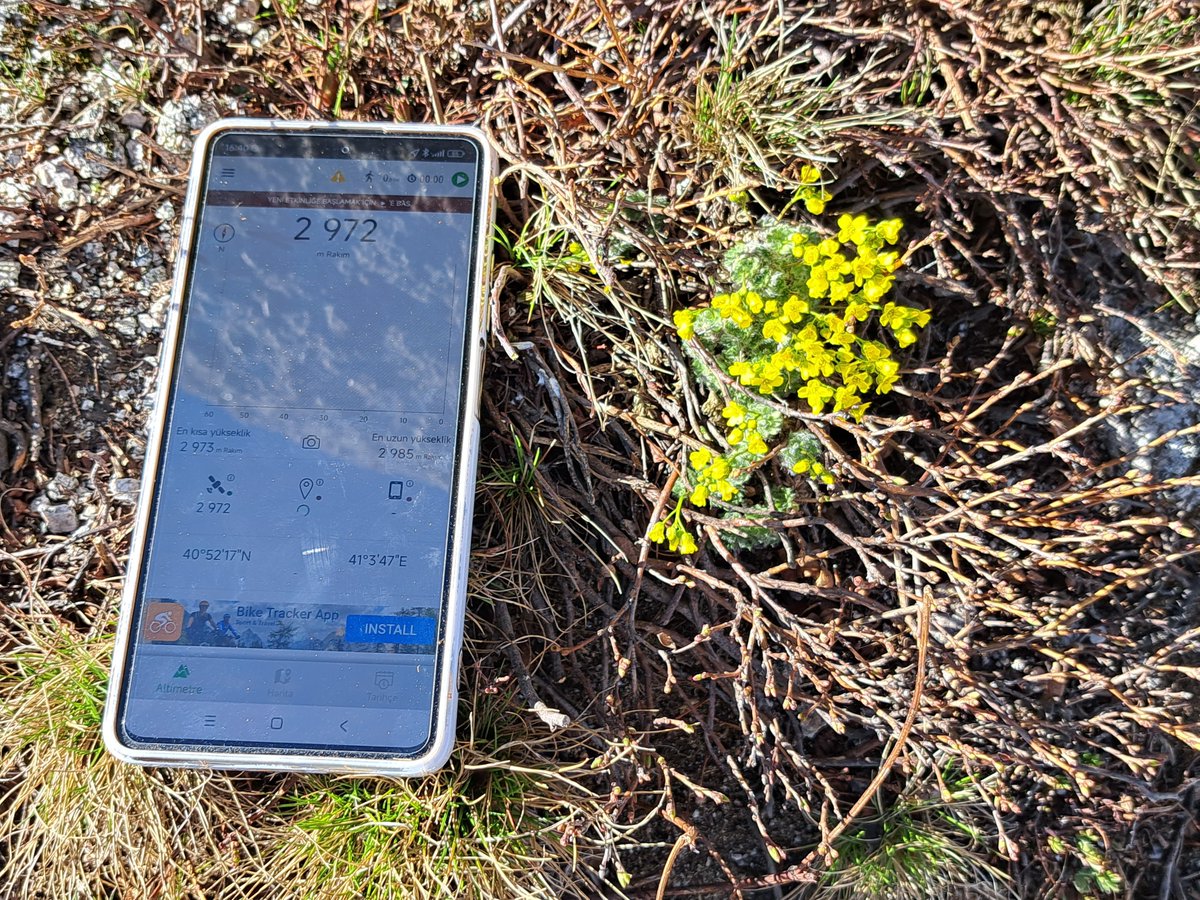 CHernandez2030's tweet photo. ⛏️Día de trabajo en la Falcultad de Agricultura de la Recep Tayyip Erdoğan University, Rize, Turquía. Buscamos tomillo caucásico (Thymus praecox) para analizar valor agronómico a 3000 metros de altura en la cadena montañosa de Kaçkar.🌾
#rangeland
#agsystems https://t.co/zm0cMksnSM