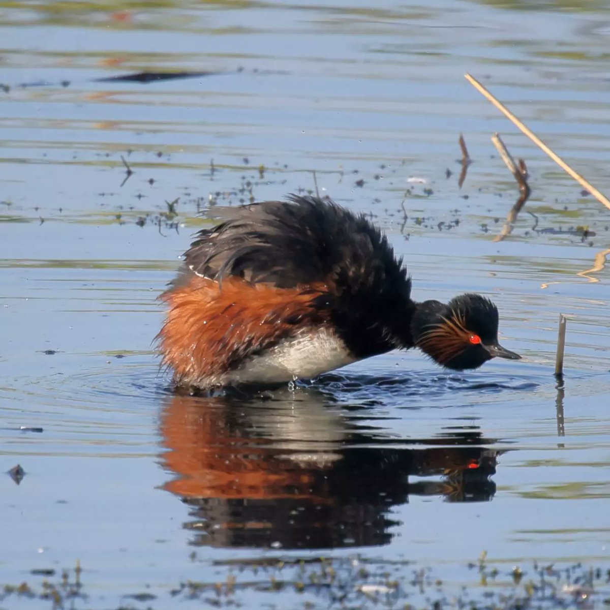 ResearchHumSocSci tweet media