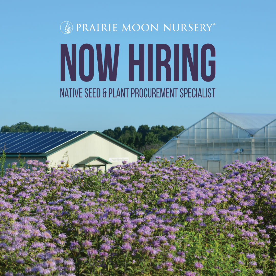 Moonless Prairie Prairie Moon Nursery Prairie Moon Nursery: Storefront (Copy)