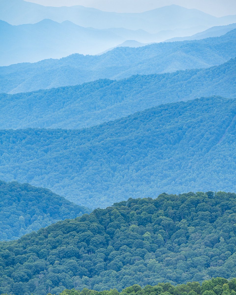 Summertime is back in the Blue Ridge Mountains of North Carolina! The mountains appear blue because specific oak and poplar trees here emit a chemical called isoprene to protect them against excessive heat. #ncwx

Photo Credit: <a href="/AshevillePictu1/">Asheville Pictures</a>