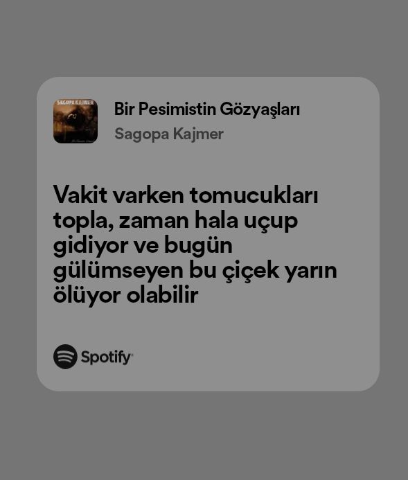 medeni bedevi (@ozch_an) on Twitter photo 