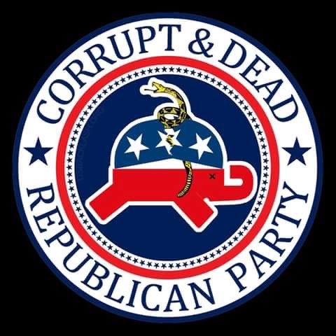 🇺🇸🇺🇦🌻 Democracy Fan tweet media