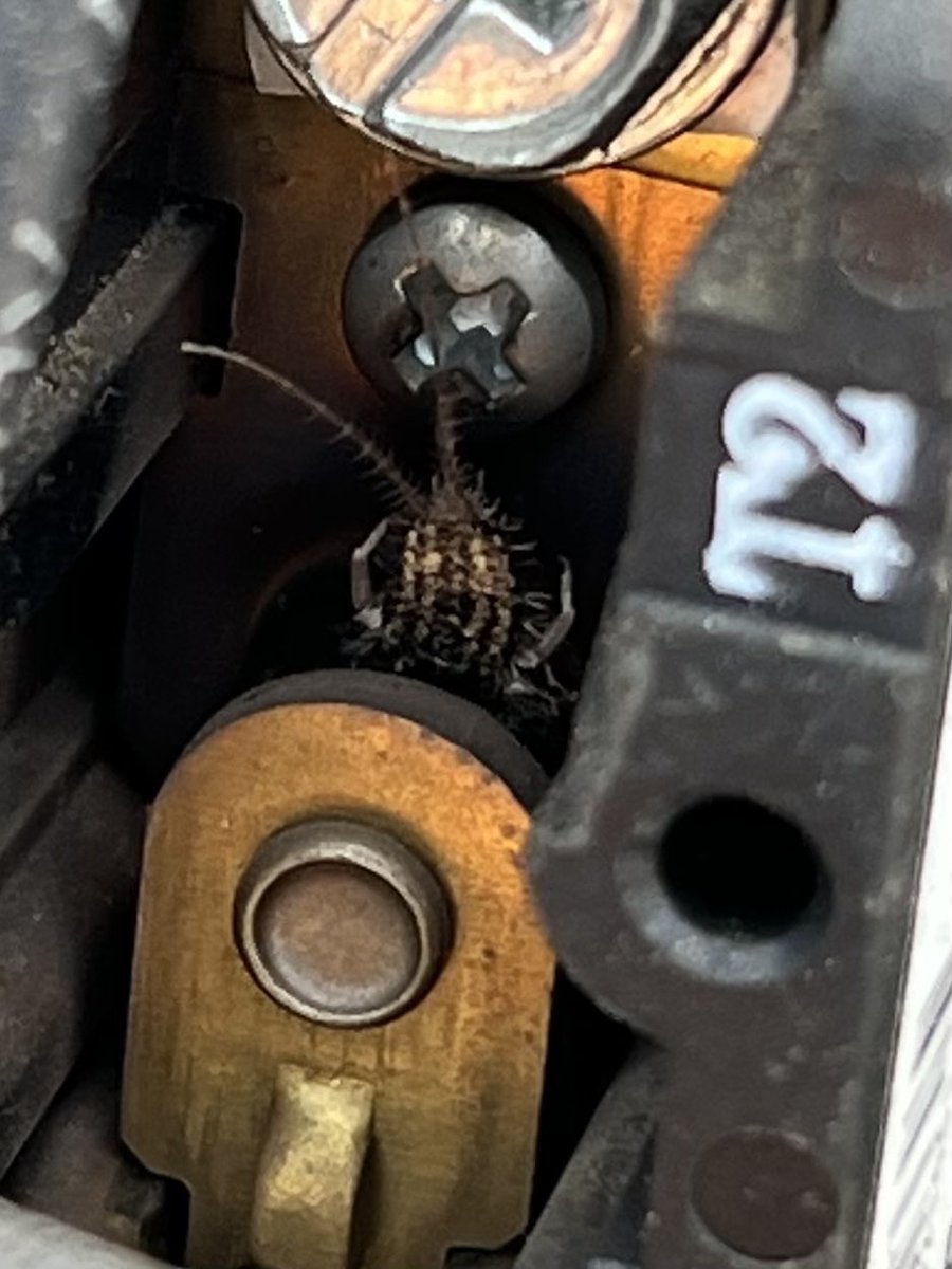 Millenium_HVAC's tweet photo. When little critters don’t let your air conditioning run! https://t.co/GwSqZeEChm