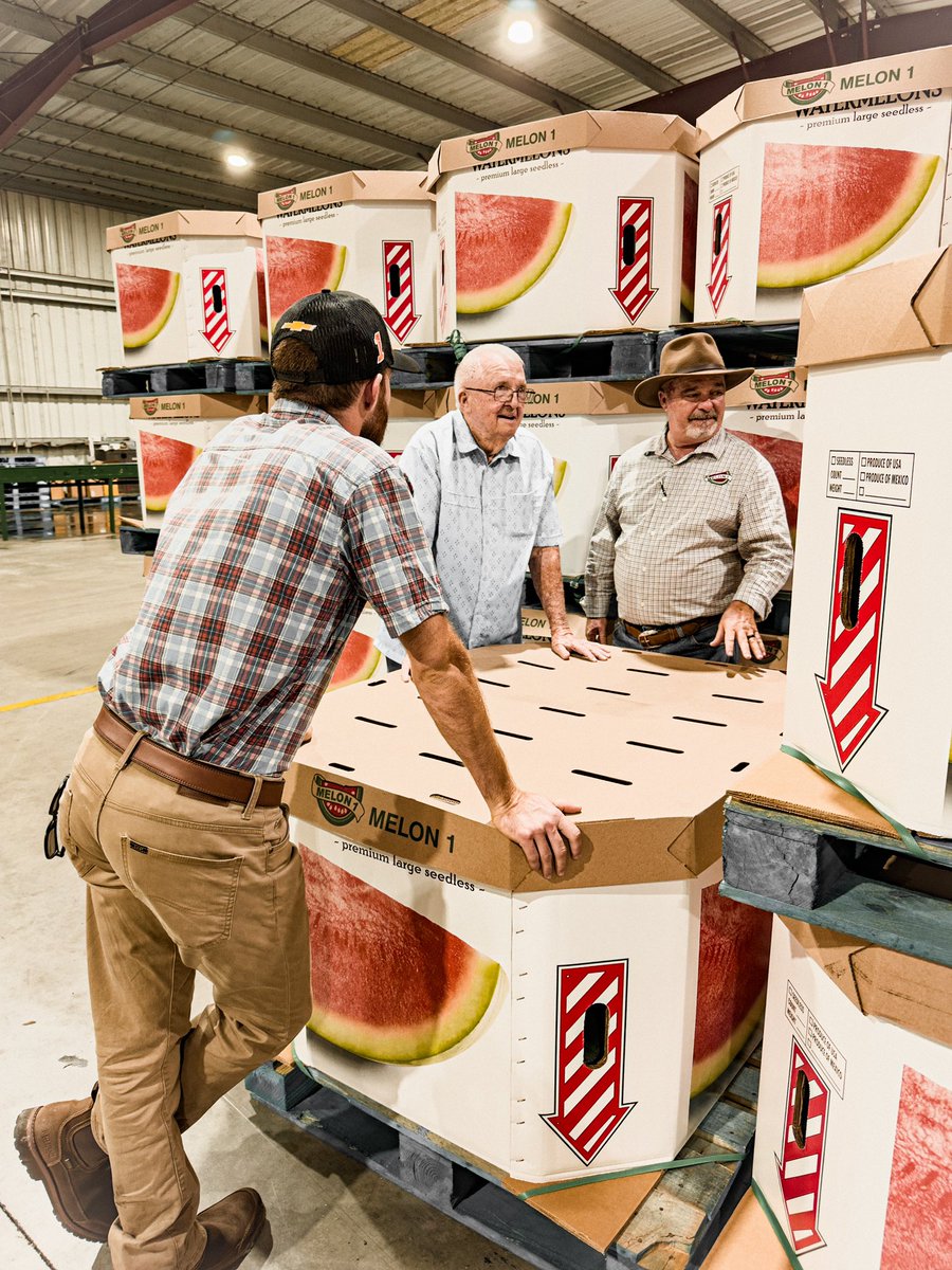 RossChastain's tweet photo. Wrapping up Florida watermelon harvest season! Get your @freshfromFL watermelons at grocery stores now to cool off on these hot summer days! #FreshFromFL https://t.co/WGQjIKFAvj