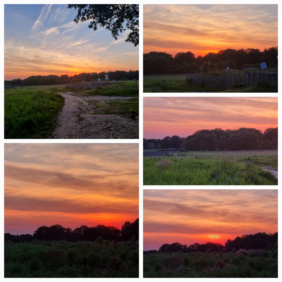 jonkmandiane's tweet photo. Het #verloop van een zonsondergang in mei #junieke_fotografie https://t.co/OaVPCKdyxI
