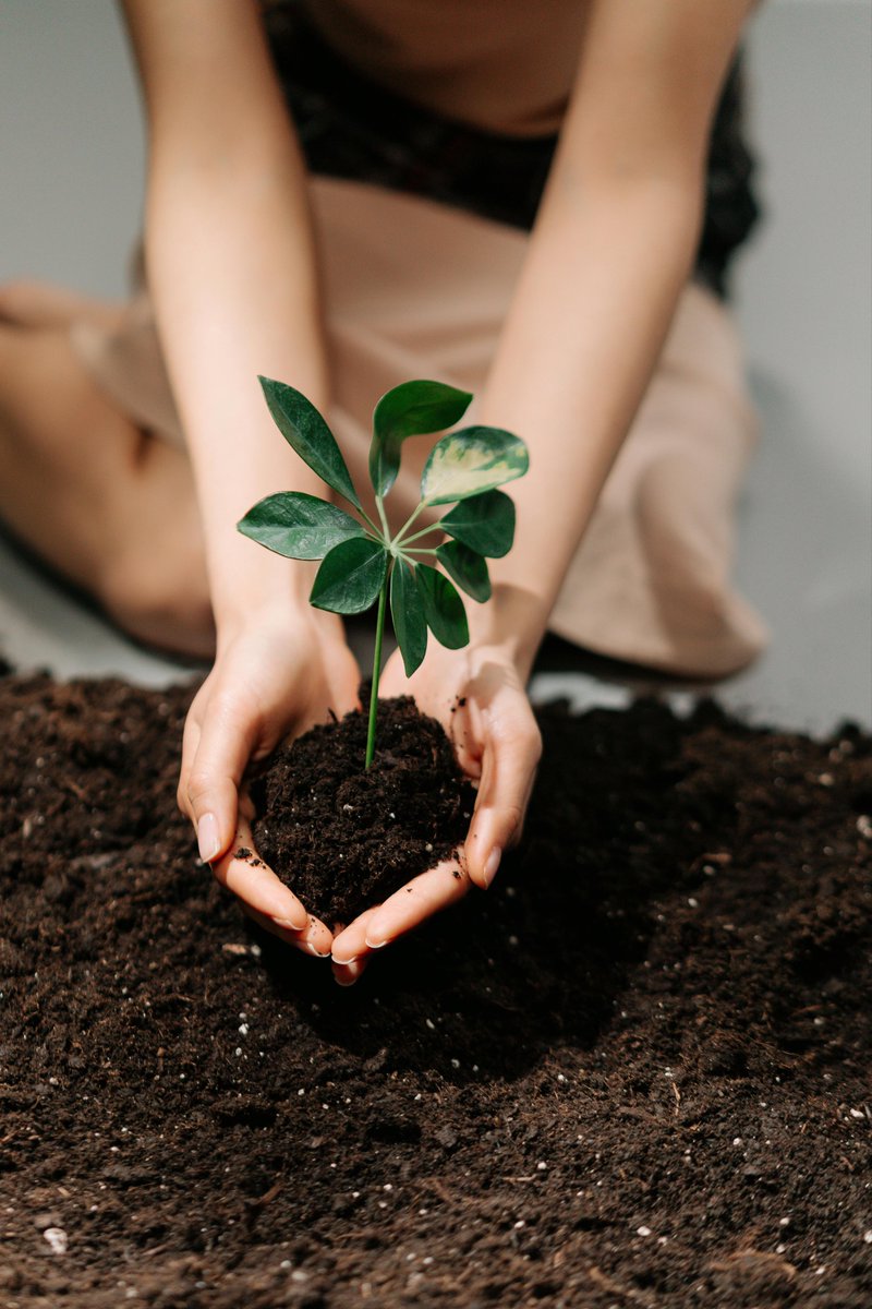 RandyEGil's tweet photo. Cuando tu vida está arraigada en Cristo, tus raíces profundas te sostienen en tiempos difíciles. 🌿 «Bendito el hombre que confía en el SEÑOR... será como un árbol plantado junto al agua... no teme el calor y siempre da fruto». Jeremías 17:7-8 🌿 ¡Echa raíces en Él! 🌱✨ https://t.co/bX1J0jtIYS