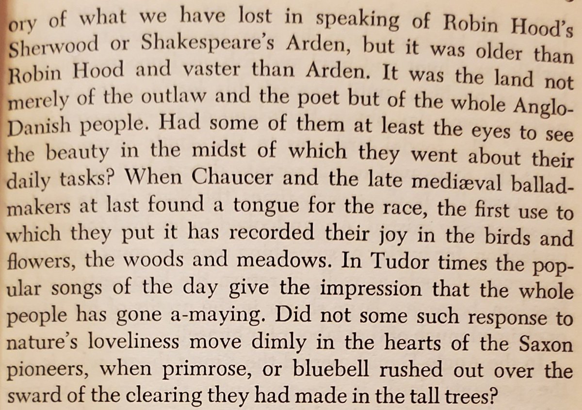 "what a place it must have been, that virgin woodland wilderness of all england..."