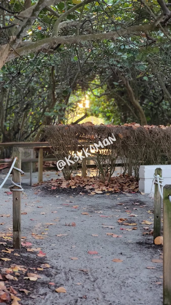 K3kkoman's tweet photo. The Pathway to Heaven #heaven #thisistheway #bliss #landscapelovers #goldenhour #ilovenature #naturejunkie #naturelovers #nature_perfection #motherearth #beachwalk #praise #saved #mentalhealth #inspiration #greatful #meditation #dream #trees #landscapephoto #therapy #forgiven #go https://t.co/MB39JY2sxW