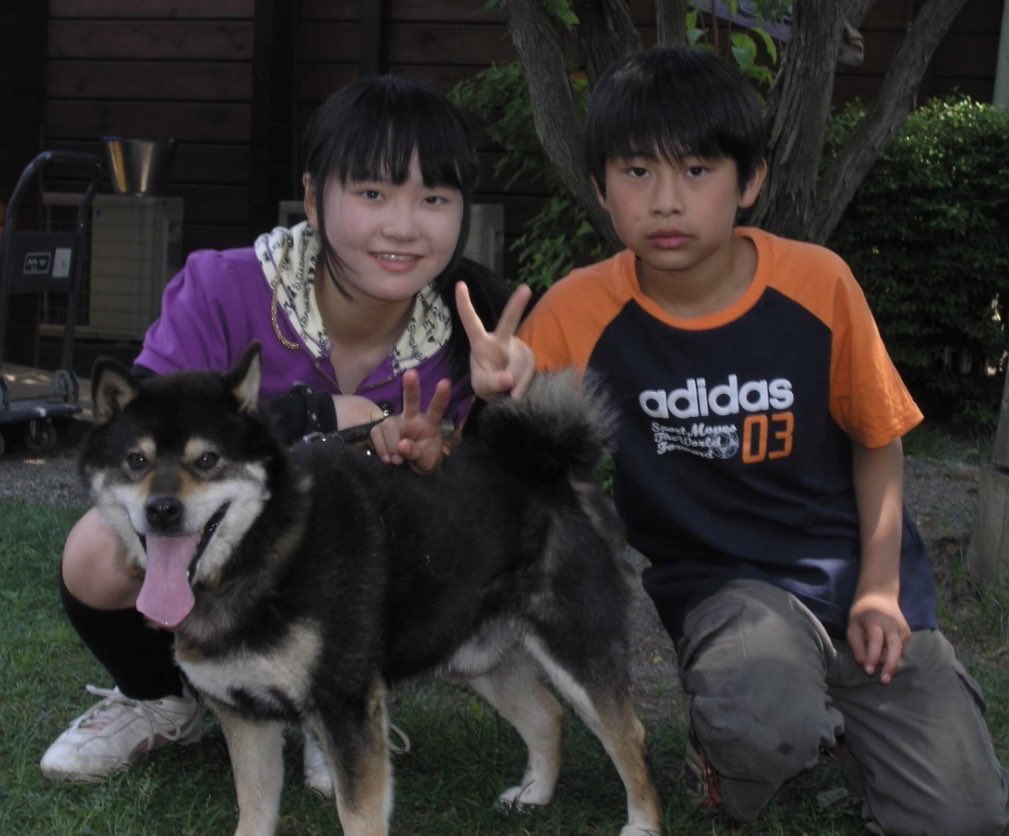 ainahi0620's tweet photo. 1️⃣🐕‍🦺ハッピーの若かりし頃👧🏻次女👦🏻
2️⃣🎊お兄さんの手作りケーキ🎂🍈🎉
3️⃣💒次女の結婚式👰‍♀️生まれた時と同じ体重の👶👶（お米🌾）
4️⃣モモンガの福くん＆花ちゃん🦡その子どもの白くん🧡
😊最初は二匹だった🦡🦡モモンガくん達は👶赤ちゃんが産まれて今は🦡🦡🦡🦡🦡🦡🦡七匹います💚 https://t.co/8FyEvprW2Q