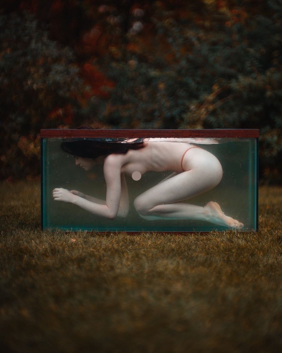 CvatikPhoto's tweet photo. Hi twitter. This is my new account since my old one is completely shadowbanned. 

I’m a conceptual photographer from New Jersey. 

Help me find my frens. https://t.co/KjoyUij2Oc