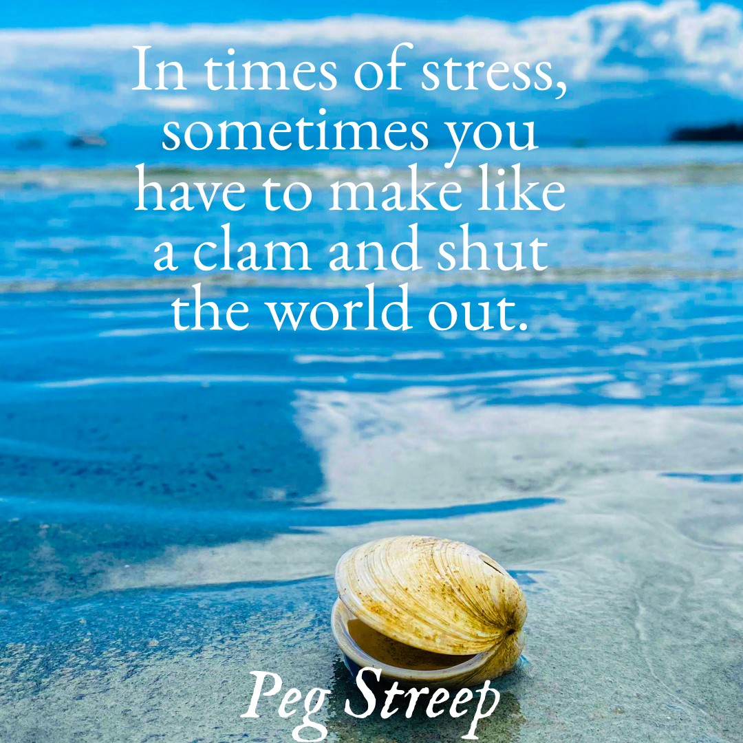 peg (@streepspeaks) / Posts / X
