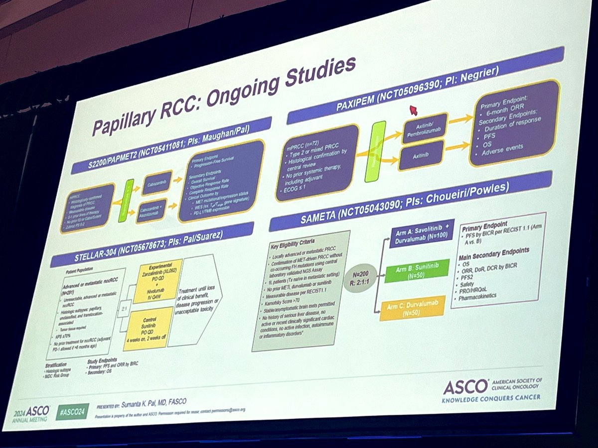 AlbigesL's tweet photo. @DrChoueiri @montypal Tour de force of  the amazing @montypal  @cityofhope highlighting advances in papillary RCC, ChromophobeRCC, and many rare entities…. Major step forward with prospective phase II/III for pRCC @ASCO #ASCO24 https://t.co/qAYrvAZ3Xz
