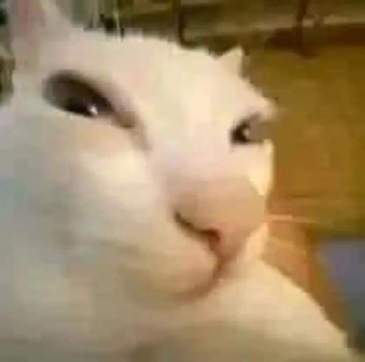 Bienvenidos al segundo maximato!

Con 70 flagantes años por vivir bajó el control de un solo un partido 
¡Ahora en color canela! #EleccionesMéxico2024