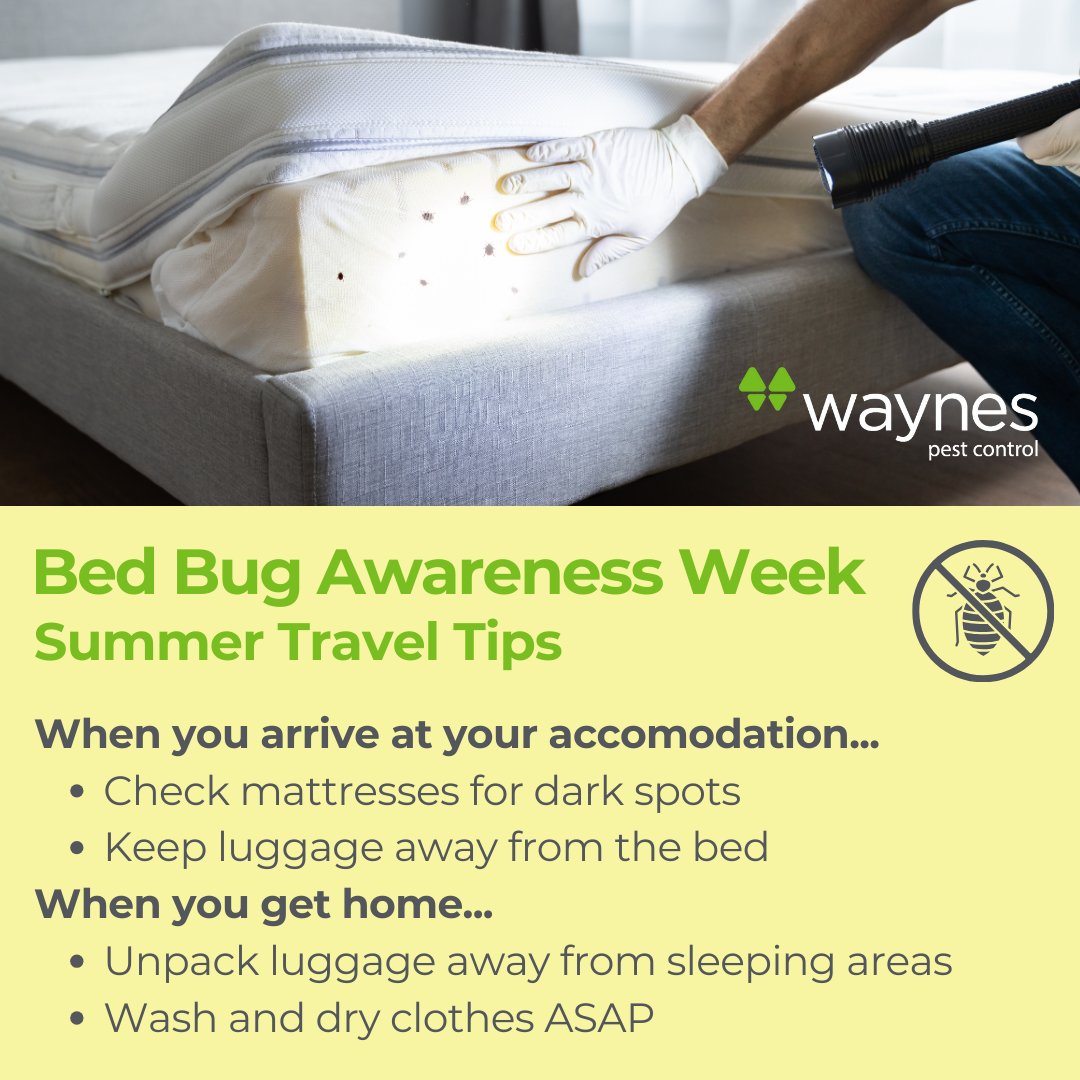 callwaynes's tweet image. 🚨 It&apos;s #BedBugAwarenessWeek! 🚨 We&apos;re kicking it off with a few quick tips to help you say bye-bye to bed bugs while traveling this summer. 🛏️🌞